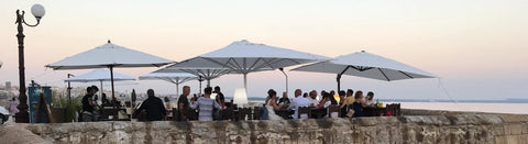 Beliebter Primitivo - viDeli - einfach guter Wein