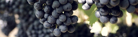 Die besten Rotweine unter 10 Euro - viDeli - einfach guter Wein