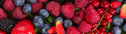 Fruchtige Weine - viDeli - einfach guter Wein