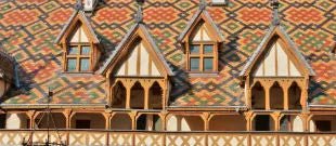 Pinot Noir - viDeli - einfach guter Wein