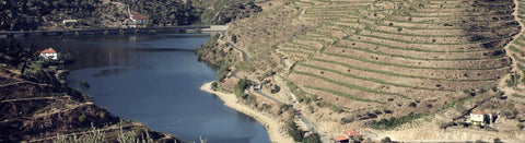 Rotwein aus dem Dao - viDeli - einfach guter Wein