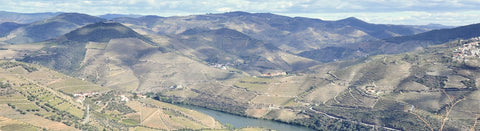 Rotwein aus dem Dourotal - viDeli - einfach guter Wein