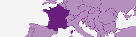 Rotwein aus Frankreich - viDeli - einfach guter Wein