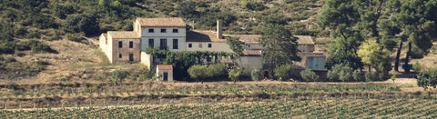 Rotwein aus Jumilla - viDeli - einfach guter Wein