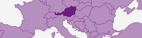 Rotwein aus Österreich - viDeli - einfach guter Wein