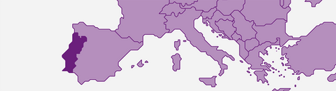 Rotwein aus Portugal online kaufen - viDeli - einfach guter Wein
