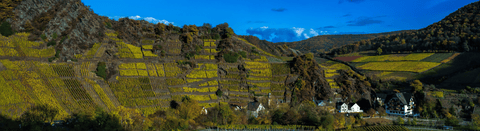 Rotwein von der Ahr - viDeli - einfach guter Wein