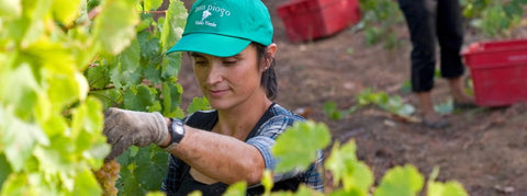 Vinho Verde - viDeli - einfach guter Wein