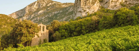 Wein aus dem Languedoc-Roussillon - viDeli - einfach guter Wein