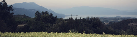 Wein aus der Lombardei - viDeli - einfach guter Wein