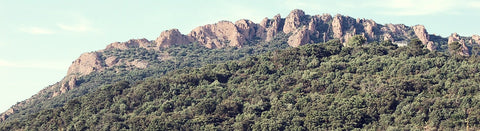 Wein aus der Provence - viDeli - einfach guter Wein