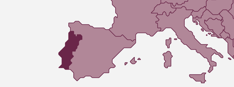 Wein aus Portugal - viDeli - einfach guter Wein