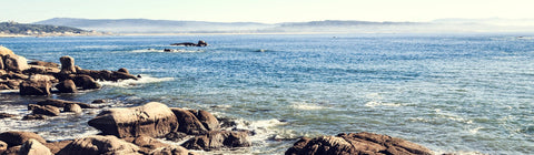 Wein aus Rias Baixas - viDeli - einfach guter Wein