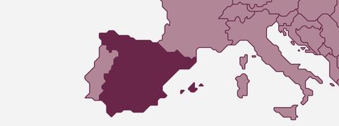 Wein aus Spanien - viDeli - einfach guter Wein