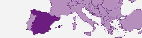 Wein aus Spanien - viDeli - einfach guter Wein