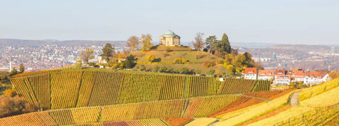 Wein aus Württemberg - viDeli - einfach guter Wein