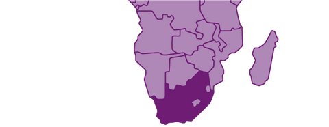 Weine aus Südafrika - viDeli - einfach guter Wein