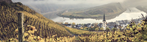 Weißwein von der Mosel - viDeli - einfach guter Wein