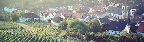 Weißwein von der Nahe - viDeli - einfach guter Wein