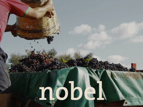 Cabernet Sauvignon