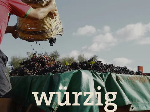 Cabernet Franc
