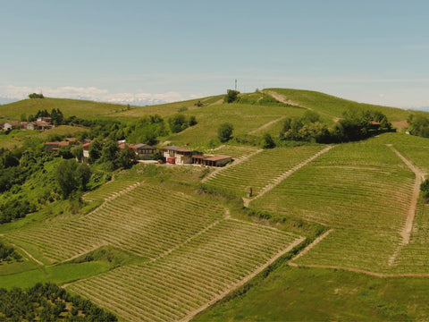 Das Weingut hat 15 Hektar Rebfläche