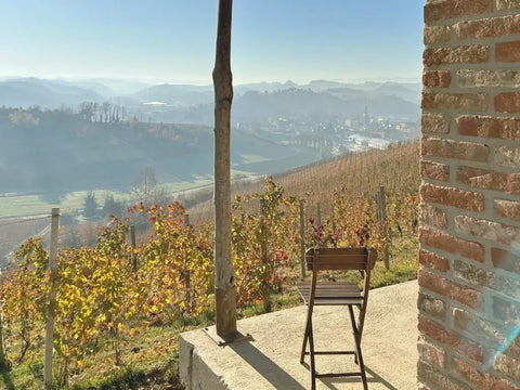 Blick von der Hütte im Weinberg von Renesio Incisa