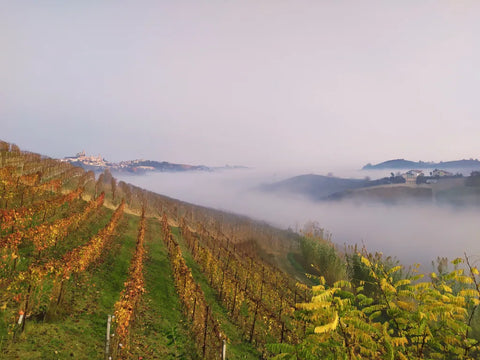 Panorama auf Cisterna, vom Innenhof aus
