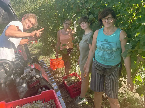 Lorenzo, Laura, Lucia, Enrica – Arneis-Ernte