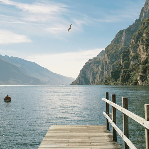 Weine vom traumhaften Gardasee