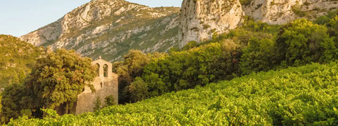 Weinberg, daneben ist eine alte Kapelle und Felsen