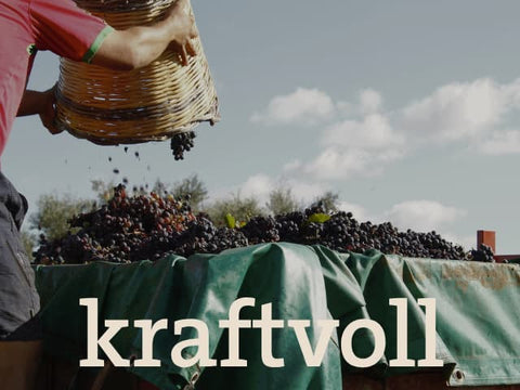 Primitivo