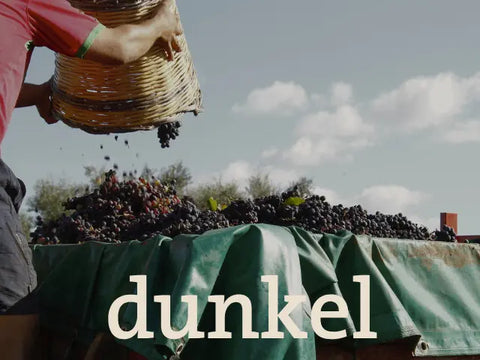 Syrah / Shiraz