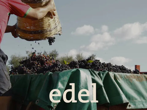 Nebbiolo