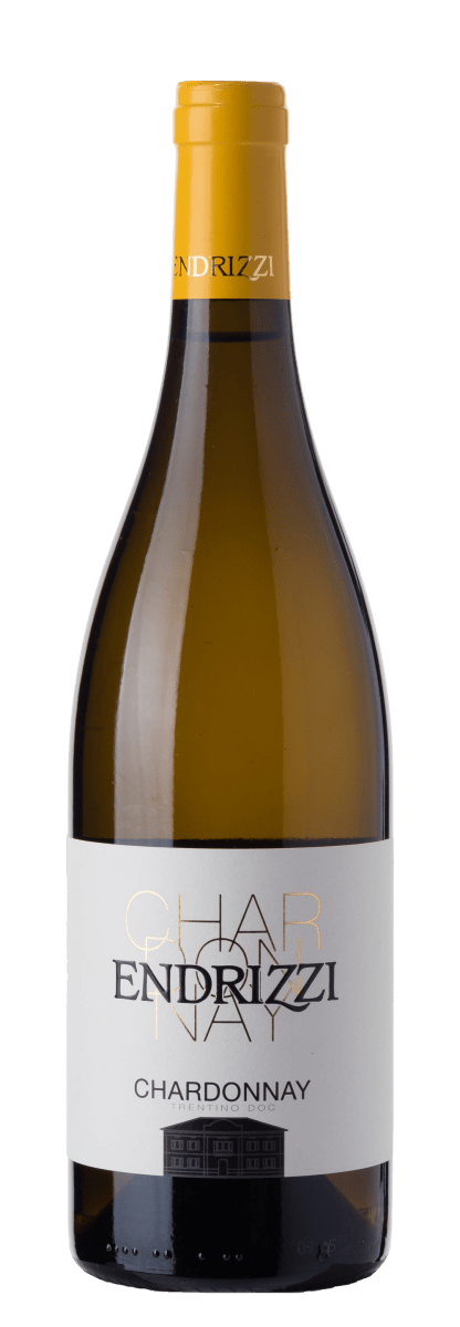 Endrizzi Chardonnay Trentino DOC - Fruchtig - Italien - viDeli - einfach guter Wein