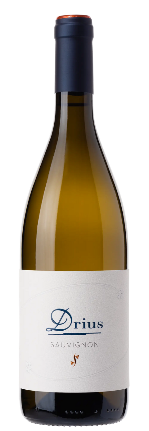 Drius Sauvignon Collio DOC - Fruchtig - Italien - viDeli - einfach guter Wein