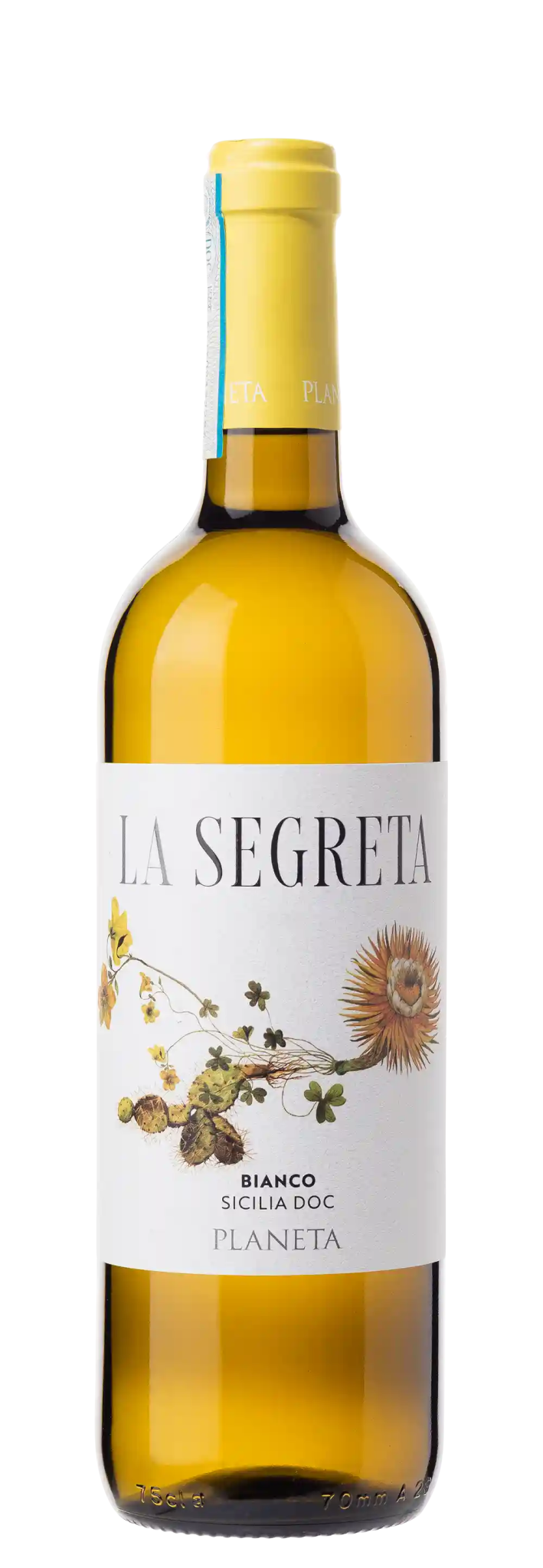 Planeta La Segreta bianco - G5 - Italien - viDeli - einfach guter Wein