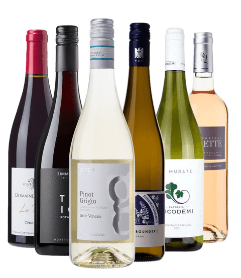 Probierpaket "100% BIO" - viDeli - einfach guter Wein