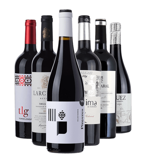 Probierpaket "Spanien" - viDeli - einfach guter Wein