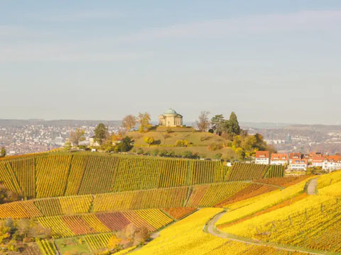 Wein aus Württemberg