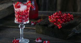 Sommergetränk mit weißem Sekt. Hausgemachter erfrischender Fruchtcocktail oder Punsch mit Champagner, roten Johannisbeeren, Eiswürfeln und Minzblättern auf dunklem Holzhintergrund.