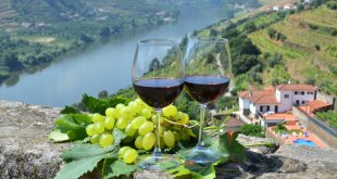 2 Gläser Wein, Dourotal - Portwein im Blickpunkt