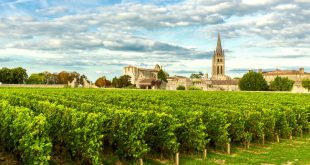 Französischer Klassiker: Bordeauxwein