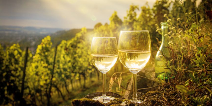 Weingläser vor Weinberg - Was bestimmt die Weinqualität bei deutschem Wein?