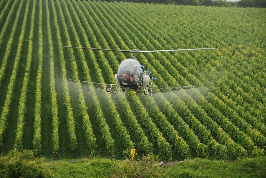 Hubschrauber verteilt Pestizide über Weinberg - Weinherstellung 