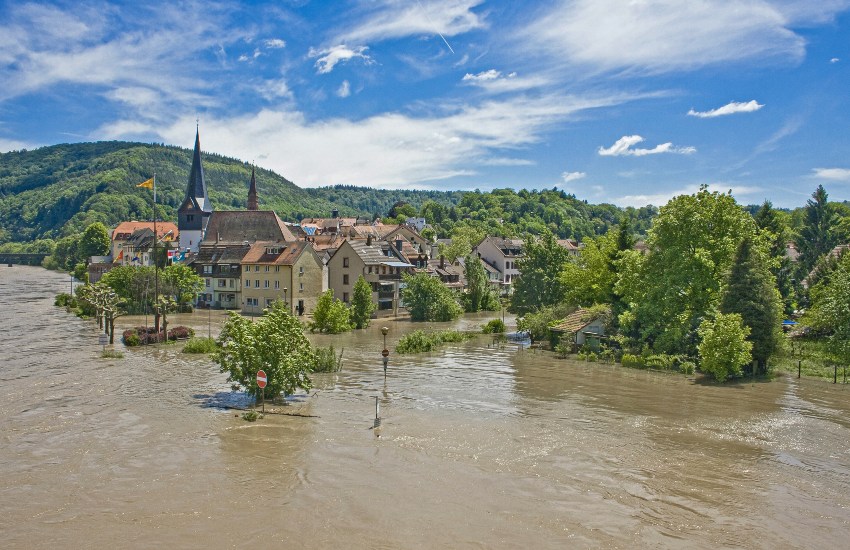 Überflutung Neckar bei Neckargemünd - Wie der Klimawandel den Weinbau beeinflusst
